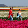 wandelen in de omgeving